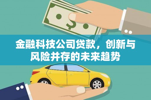 当涂金融科技公司贷款，创新与风险并存的未来趋势