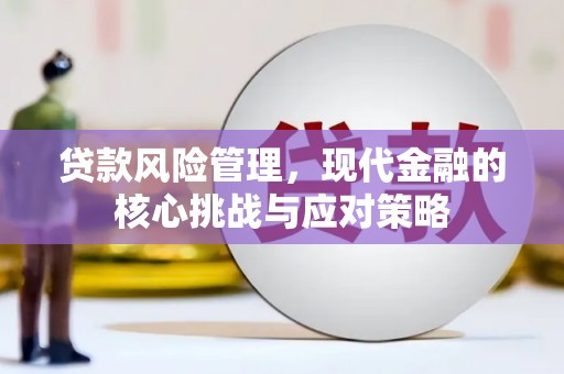 当涂贷款风险管理，现代金融的核心挑战与应对策略