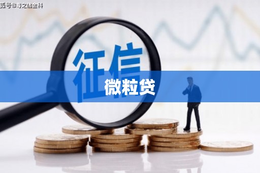 当涂微粒贷