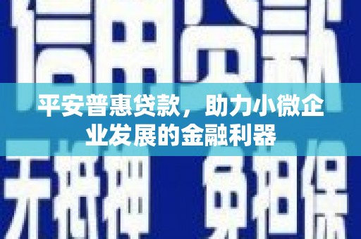 当涂平安普惠贷款，助力小微企业发展的金融利器