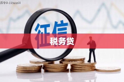 当涂税务贷