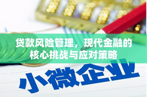 当涂贷款风险管理，现代金融的核心挑战与应对策略