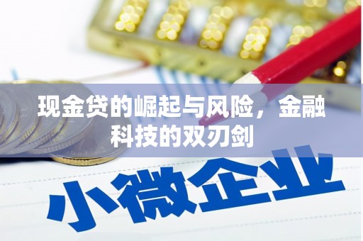 当涂现金贷的崛起与风险，金融科技的双刃剑