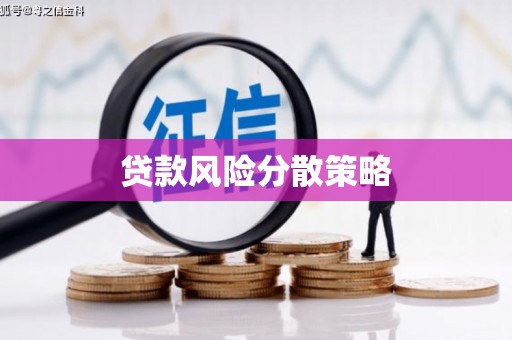 当涂贷款风险分散策略