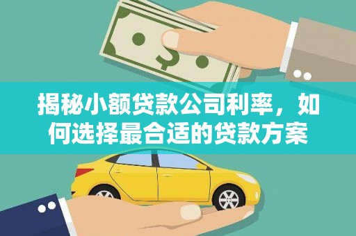 当涂揭秘小额贷款公司利率，如何选择最合适的贷款方案