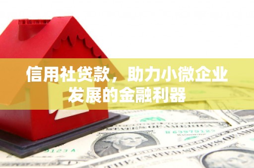 当涂信用社贷款，助力小微企业发展的金融利器