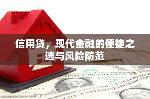 当涂信用贷，现代金融的便捷之选与风险防范