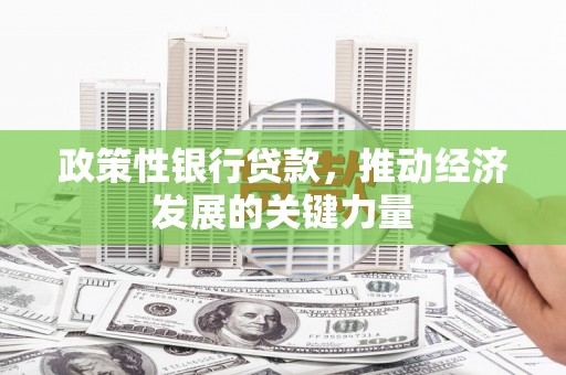 当涂政策性银行贷款，推动经济发展的关键力量