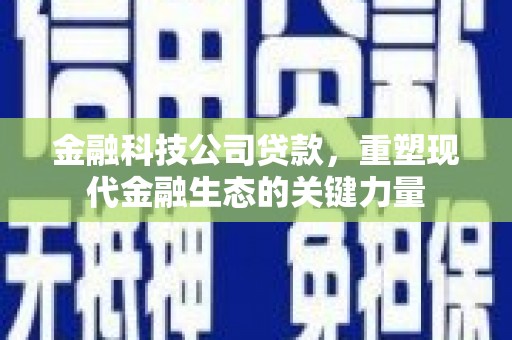 当涂金融科技公司贷款，重塑现代金融生态的关键力量