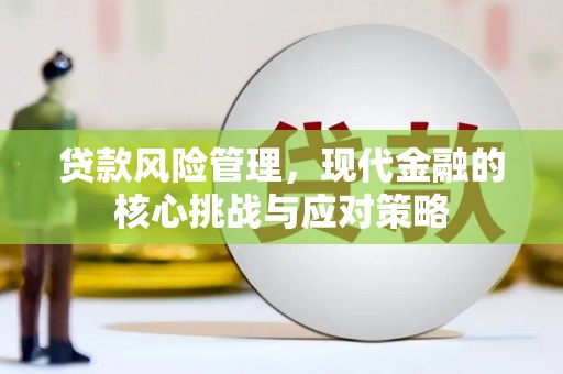 当涂贷款风险管理，现代金融的核心挑战与应对策略