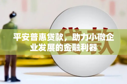 当涂平安普惠贷款，助力小微企业发展的金融利器