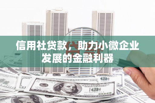 当涂信用社贷款，助力小微企业发展的金融利器