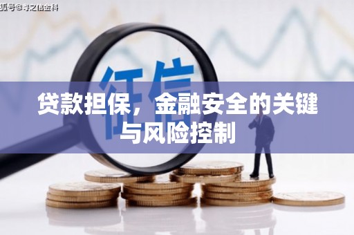 当涂贷款担保，金融安全的关键与风险控制