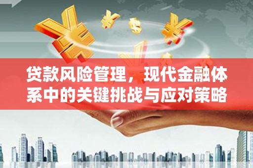 当涂贷款风险管理，现代金融体系中的关键挑战与应对策略