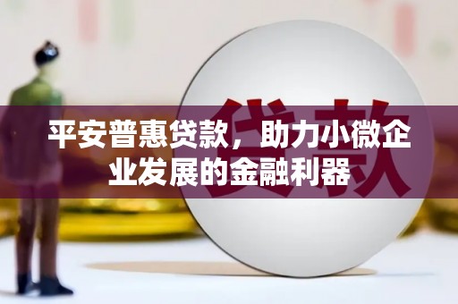 当涂平安普惠贷款，助力小微企业发展的金融利器