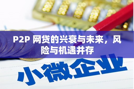 当涂P2P 网贷的兴衰与未来，风险与机遇并存