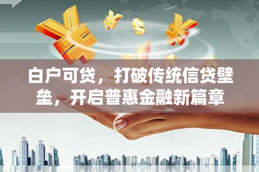 当涂白户可贷，打破传统信贷壁垒，开启普惠金融新篇章