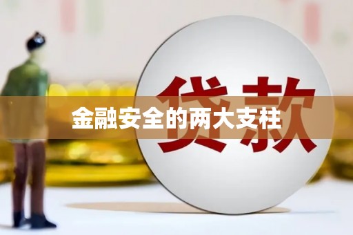 当涂金融安全的两大支柱