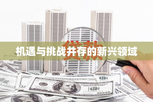 当涂机遇与挑战并存的新兴领域