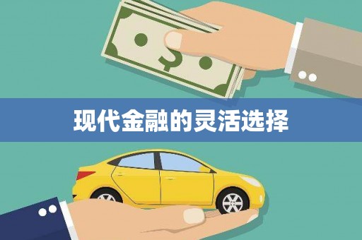 当涂现代金融的灵活选择