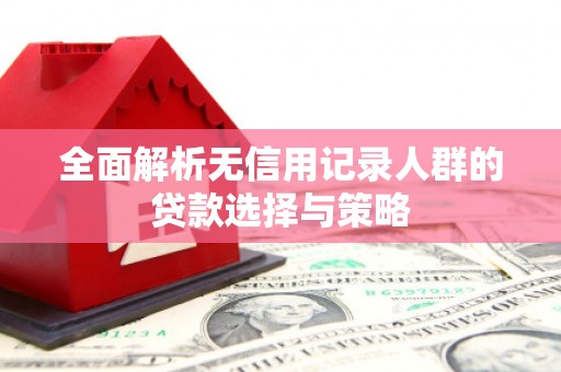 当涂全面解析无信用记录人群的贷款选择与策略