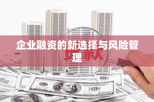 当涂企业融资的新选择与风险管理