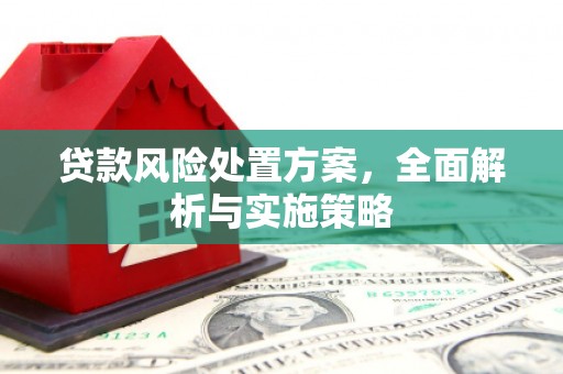 当涂贷款风险处置方案，全面解析与实施策略