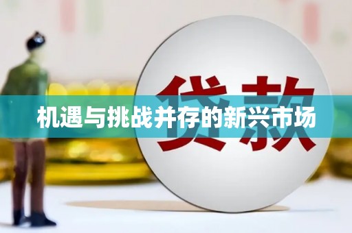 当涂机遇与挑战并存的新兴市场