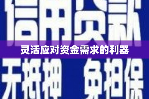 当涂灵活应对资金需求的利器
