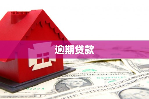 当涂逾期贷款