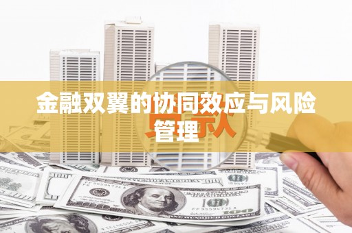 当涂金融双翼的协同效应与风险管理