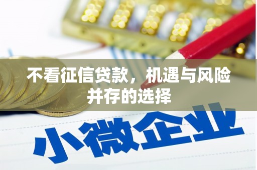 当涂不看征信贷款，机遇与风险并存的选择