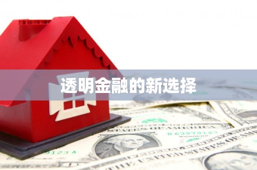 当涂透明金融的新选择